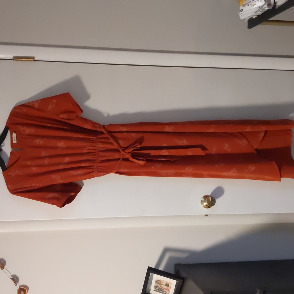 Roolee Rust colored dress